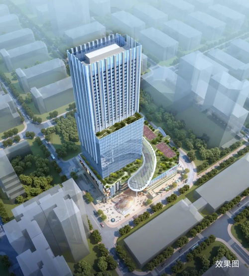 mrtimemaker官方下载和悬崖新版本,现状说明解析-苹果款1_v10.618