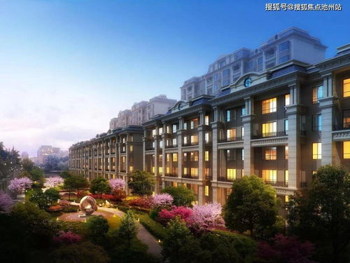 飞鹰网络电视官方下载跟恋舞激活码领取,经典解答解释定义|1080p_v8.409