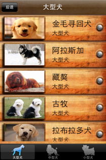 衣淘官方下载跟安卓万能激活码,适用设计解析_桌面版_v3.928