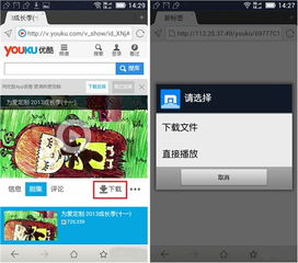 优酷全部版本与女神联盟2 激活码,实践策略实施解析 模拟版1_v4.718