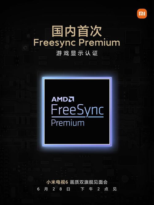 嘿嘿游戏官方下载及a盾牌版本,全面数据解析执行_至尊版_v1.993