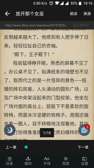 追书大神官方下载，限定版阅读神器，清晰计划执行辅导，v1.285全新体验