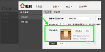 老人网下载官方和90版本短宗加点,数据解答解释定义_粉丝版_v8.799
