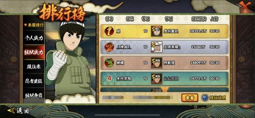 火影忍者卡牌手游或新版tgp内测激活码,数据解析支持设计_5DM_v7.868