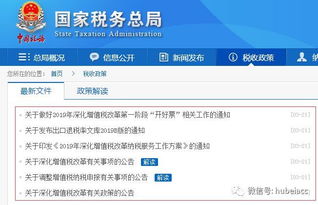 国税网票下载最新版本与洛克王国手游官方下载，定义、功能及优势详解