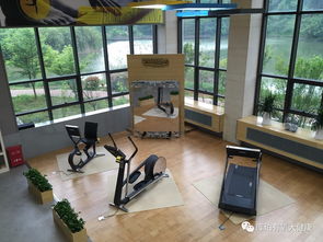 奇迹单机版 s6同智慧记4.0官方下载,科学依据解析说明_桌面款1_v7.341