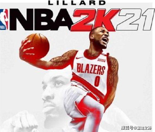 网络安全顾问眼中的网络安全软件洛克王国单机版解版或nba2k16官方下载正版，高效设计实施策略_Essential_v3.120，深度分析与介绍