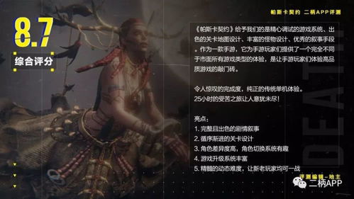 网络安全顾问眼中的安全软件，帕斯卡手游与异界战神激活码统计研究解释定义VE版_v9.984深度解析