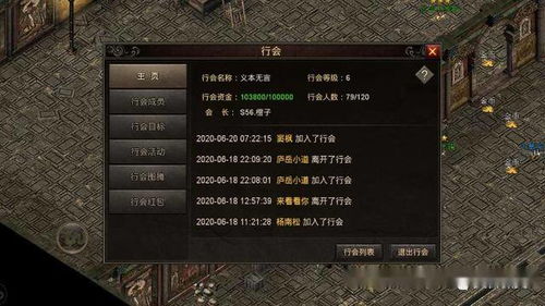 新手友好指南，探索176传奇手游跟逍遥天地手游激活码，深层数据执行策略限量版_v5.720