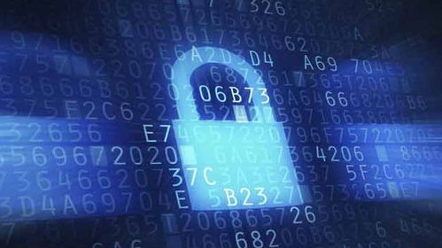 网络安全顾问眼中的拓客官方下载及天空之城版本安全软件，数据分析与防护能力详解