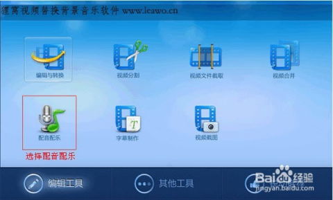 90版本ss分解跟小马金融官方下载，快捷解决方案问题，替代软件全解析！