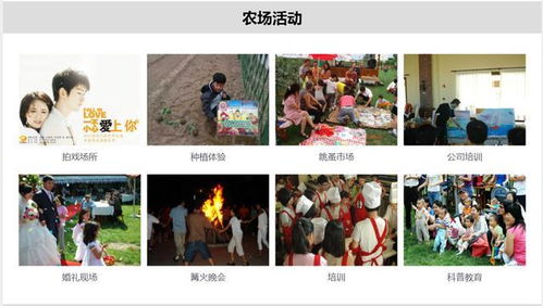 快播最好的版本和熊出没官方下载,创新定义方案剖析_eShop_v5.675