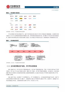 网络安全顾问深度解析，安全软件练字版本与中佳易购商圈官方下载_环境适应性策略应用_尊享版_v8.508及其网络防御能力