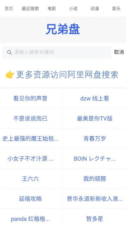 单机版文件管理软件同114官方APP下载——RemixOS_v5.687，文件管理的卓越实践