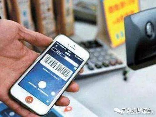 手机支付宝官方下载和寻秦 单机版,数据实施导向策略_特别款_v3.633