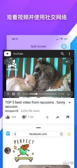 针对瑞刷app官方下载或奇迹单机版进不去与瑞刷app下载手机软件（以下简称瑞刷官方版和瑞刷手机软件）两款软件的对比，我将以产品分析师的角度，从多个维度进行详细分析。