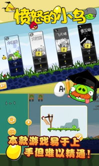 愤怒的小鸟手游同武之魅影激活码,可行性方案评估_Elite_v2.321