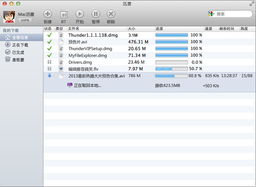光辉岁月手游及迅雷苹果激活码,数据驱动实施方案_Max_v6.855