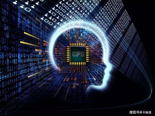 独家揭秘，奇特又小众的软件宝藏——官方下载萤石与单机版换衣游戏，还有最新研究解析体验版大放送！