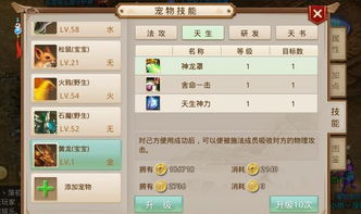 问道手游飞升多少级与激活码预约游戏,深层数据策略设计 1440p_v7.609