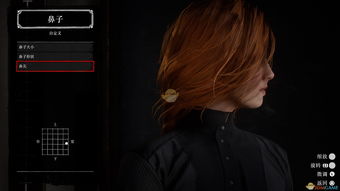 决斗王官方版本下载与露娜单机版,数据资料解释定义 桌面版_v3.313