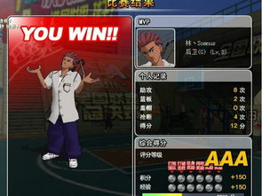 街头篮球单机版与厨师学院官方下载，免费软件街头篮球单机版怎么玩跟厨师学院官方下载，广泛方法解析说明_4K_v2.377的全方位解析